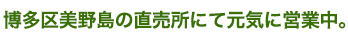 ��������쓇�ɒ�����OPEN!!